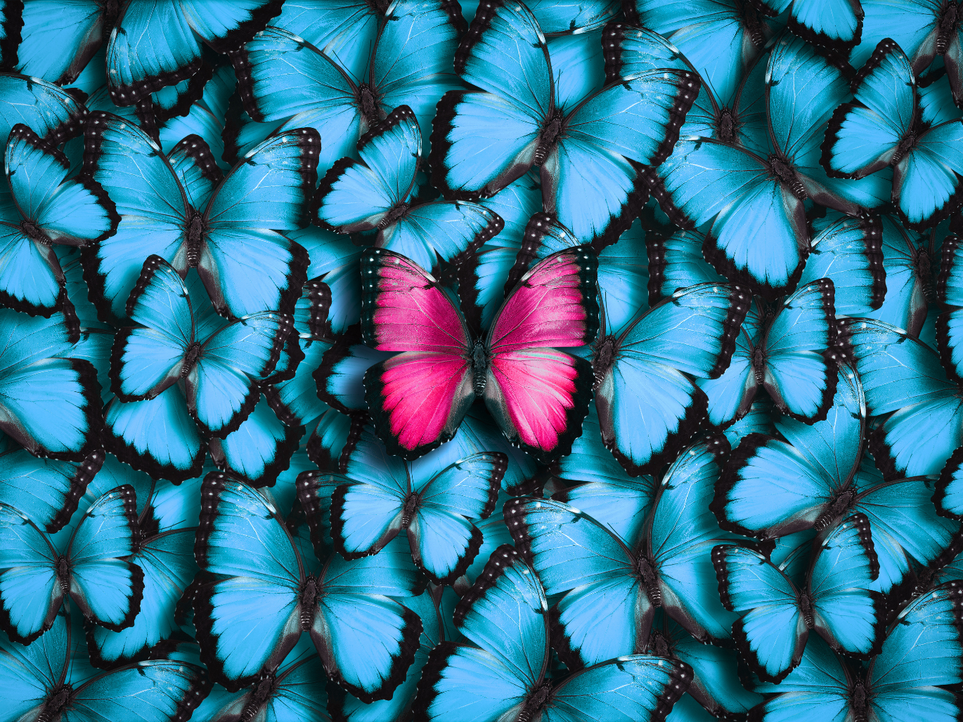 How to stand out in a hard market?